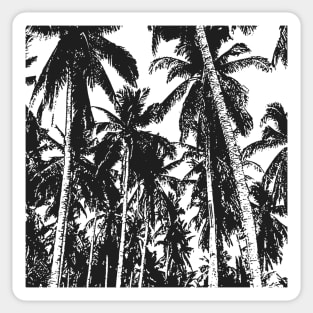 Palm Trees Design as Silhouette Effect in Black and White Sticker